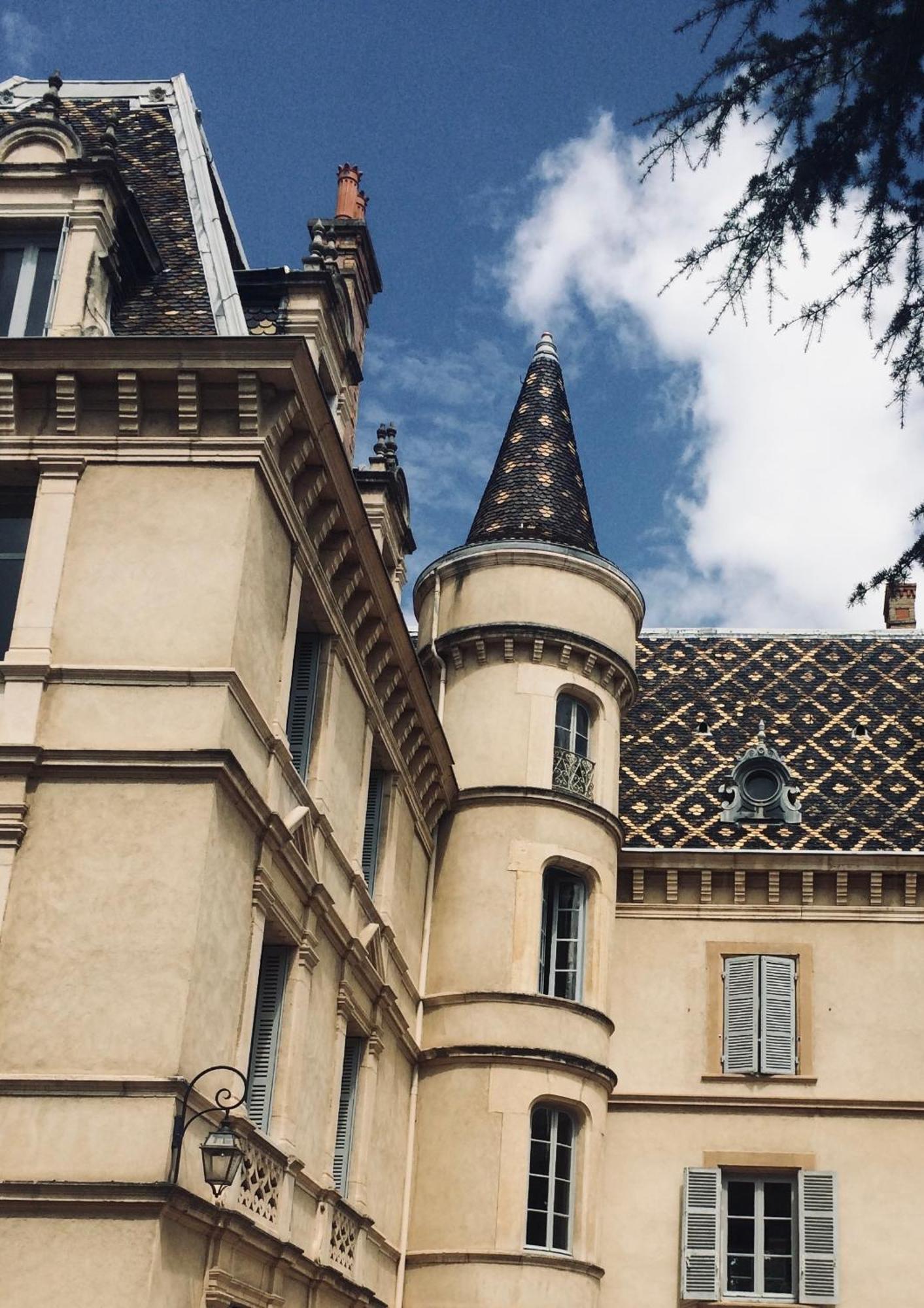 Grand Appartement D'Exception Au Chateau Randin Écully المظهر الخارجي الصورة