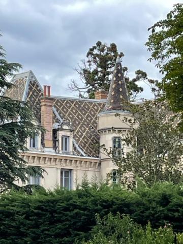 Grand Appartement D'Exception Au Chateau Randin Écully المظهر الخارجي الصورة