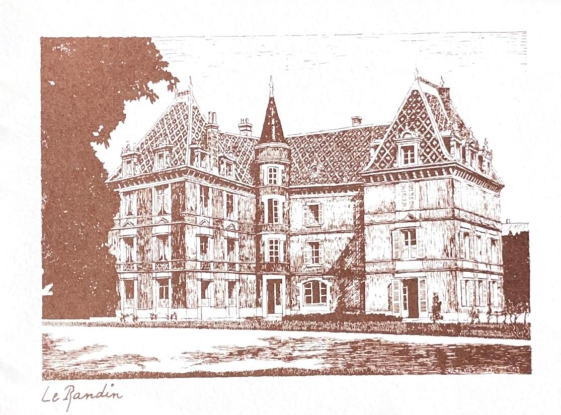 Grand Appartement D'Exception Au Chateau Randin Écully المظهر الخارجي الصورة